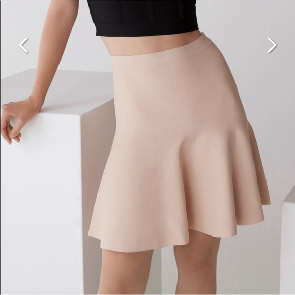 NWOT BCBG MAXAZRIA Ingrid A line skirt